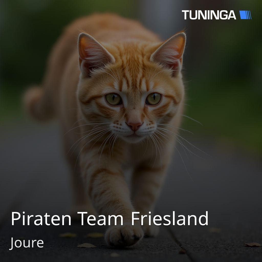 Piraten Team Friesland