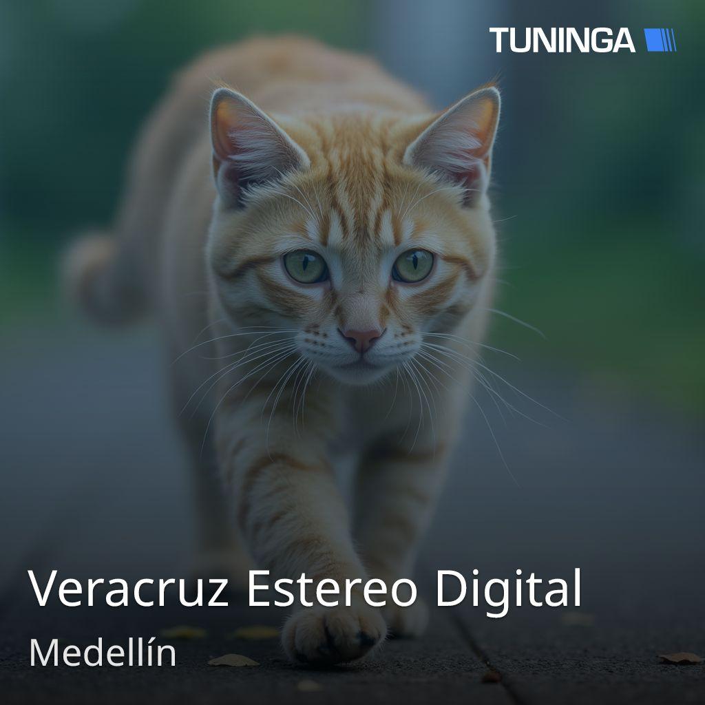 Veracruz Estereo Digital