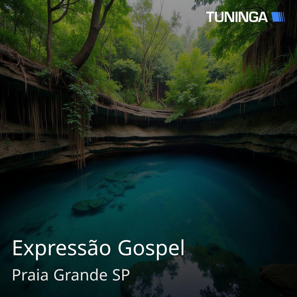 Expressão Gospel