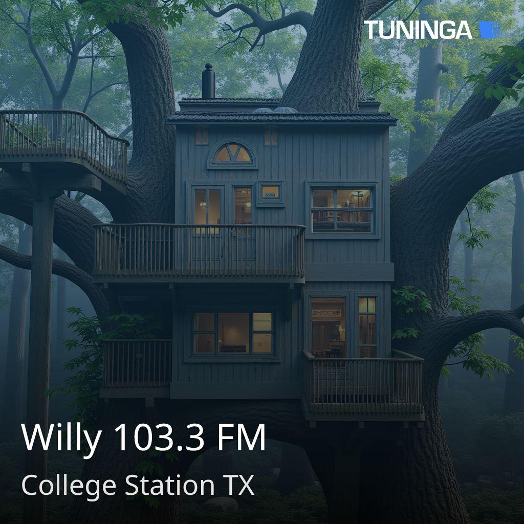Willy 103.3 FM