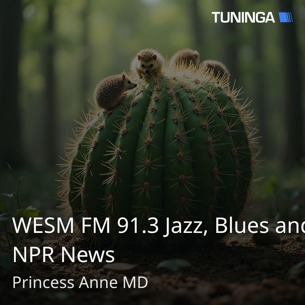 WESM FM 91.3 Jazz, Blues and NPR News
