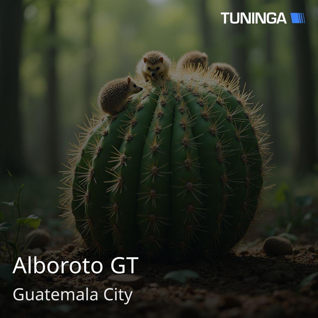 Alboroto GT