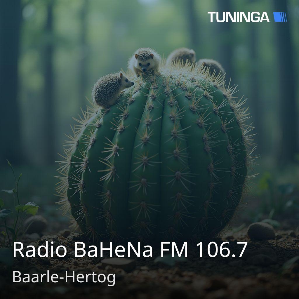 Radio BaHeNa FM 106.7
