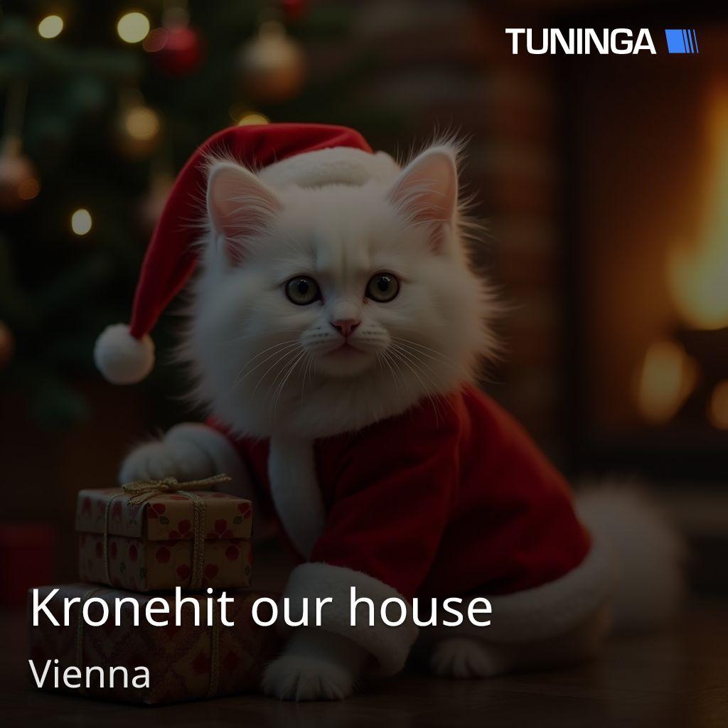 Kronehit our house