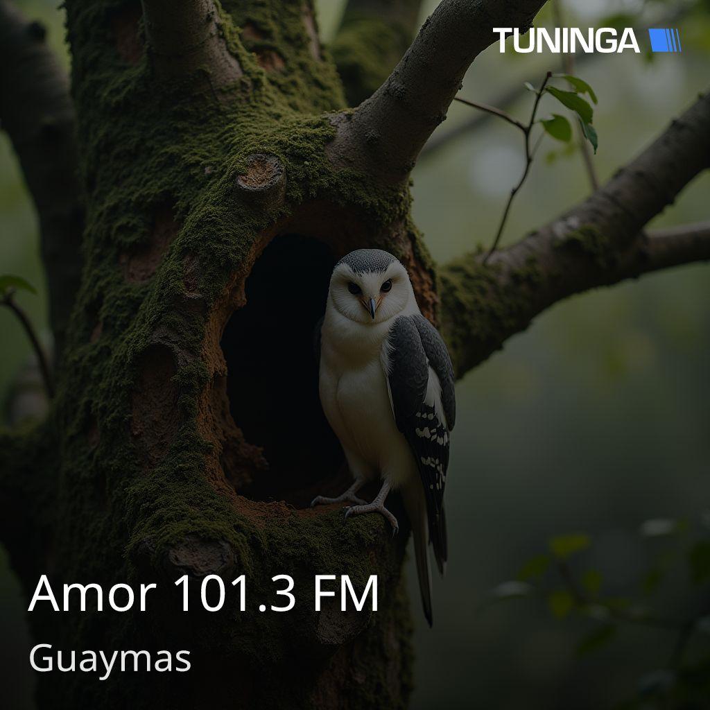 Amor 101.3 FM