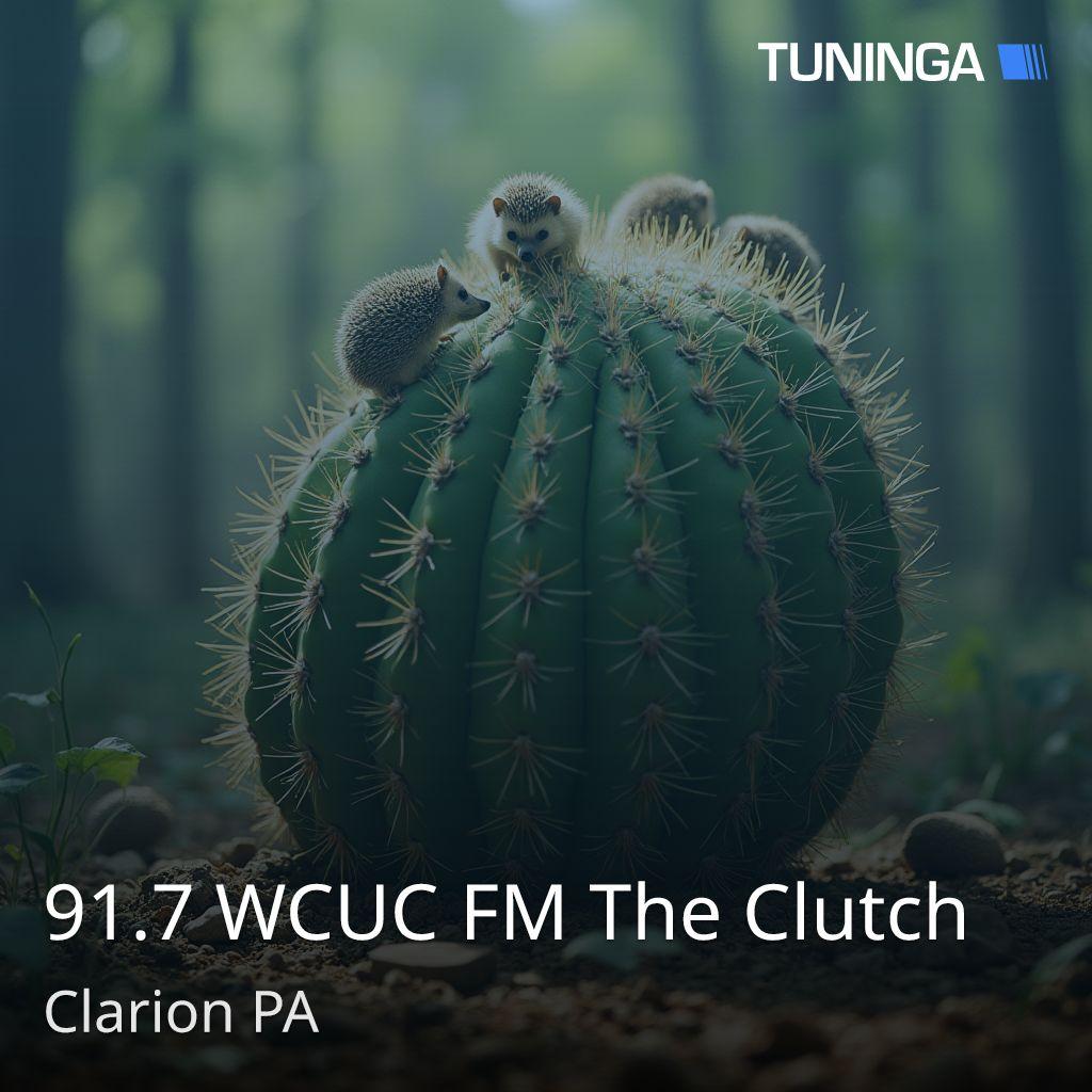 91.7 WCUC FM The Clutch