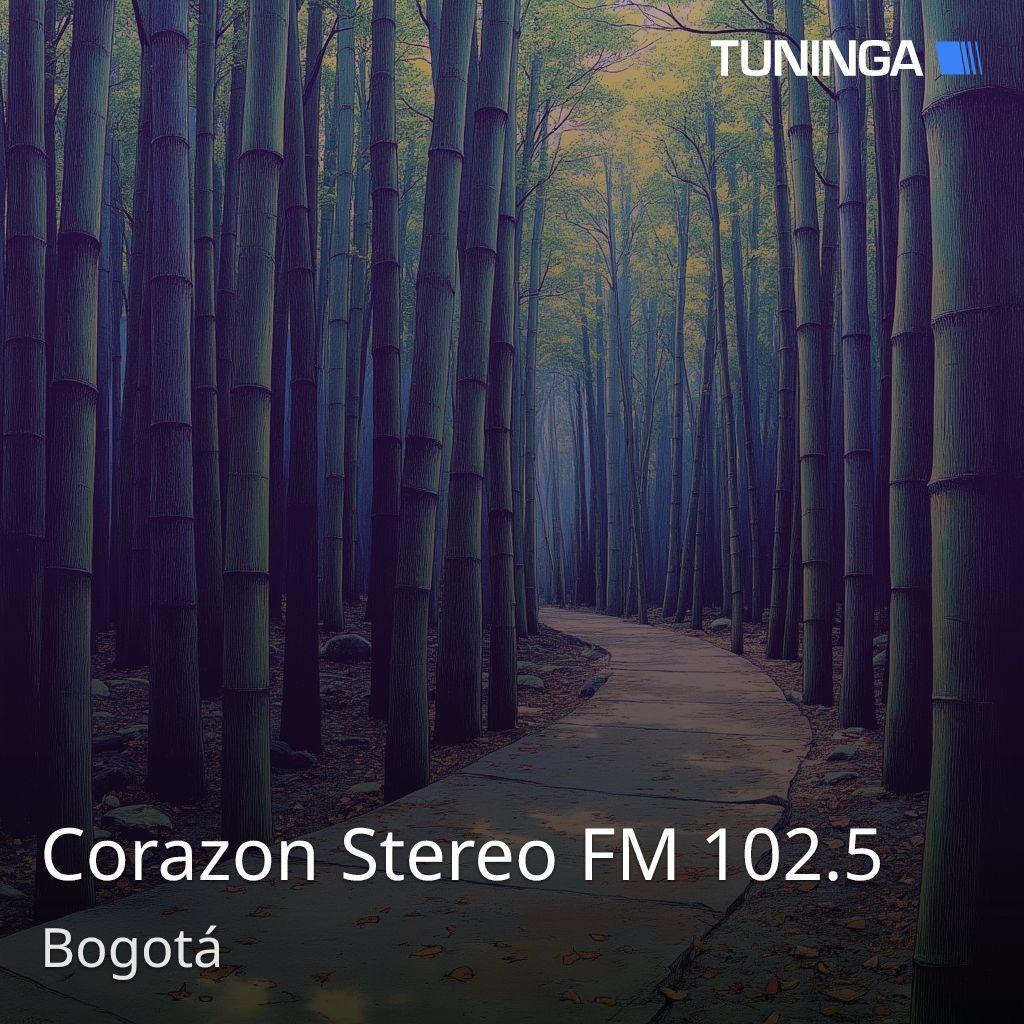 Corazon Stereo FM 102.5