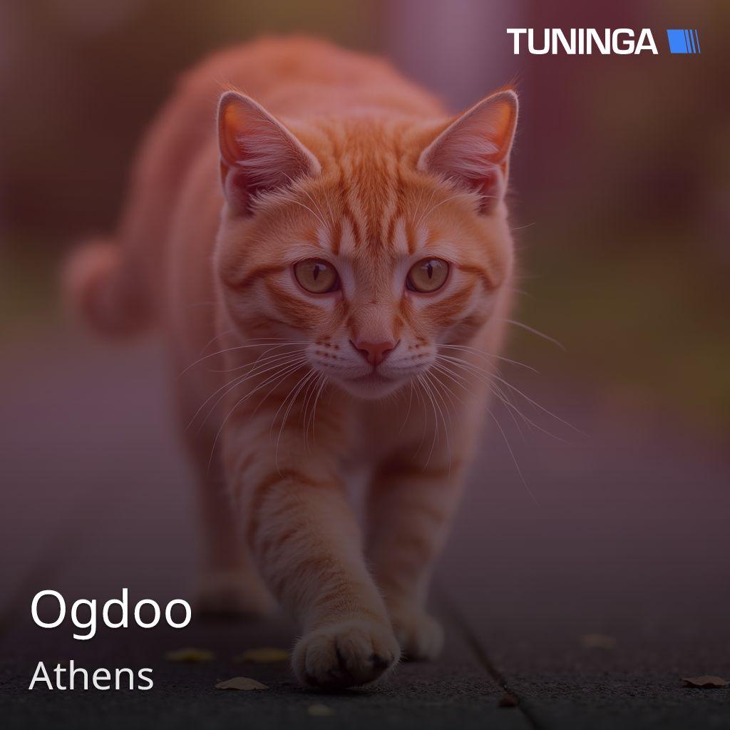 Ogdoo