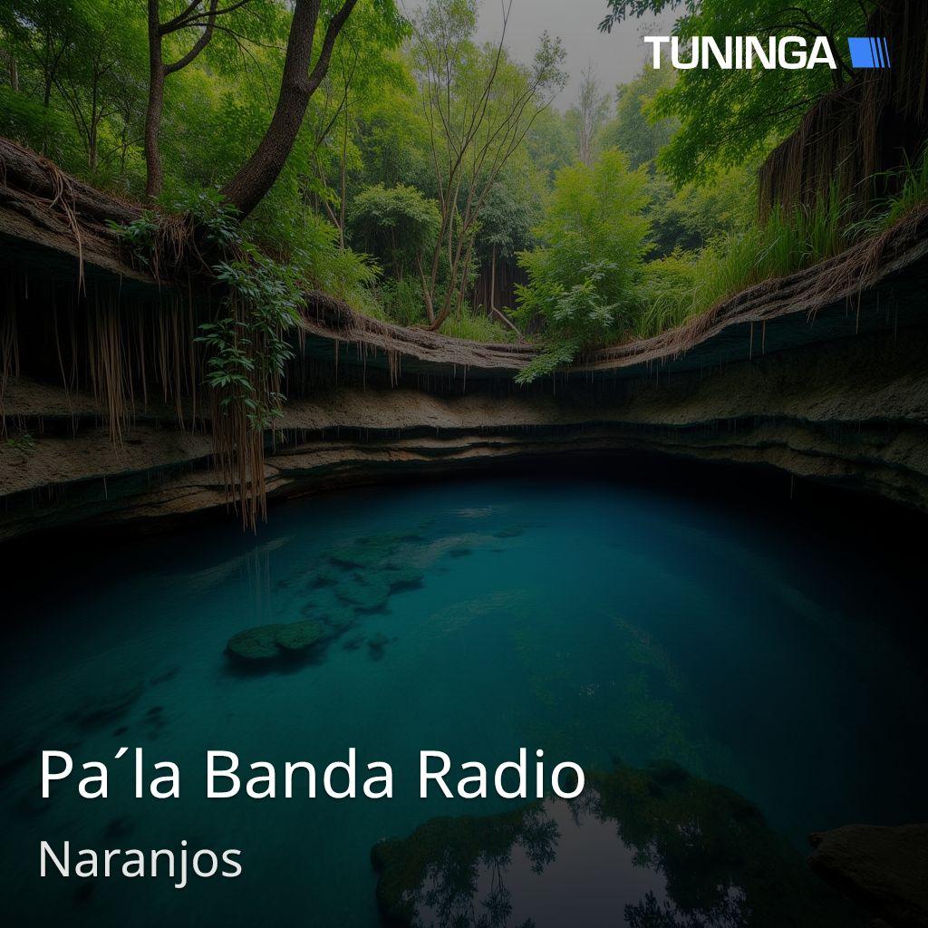 Pa´la Banda Radio
