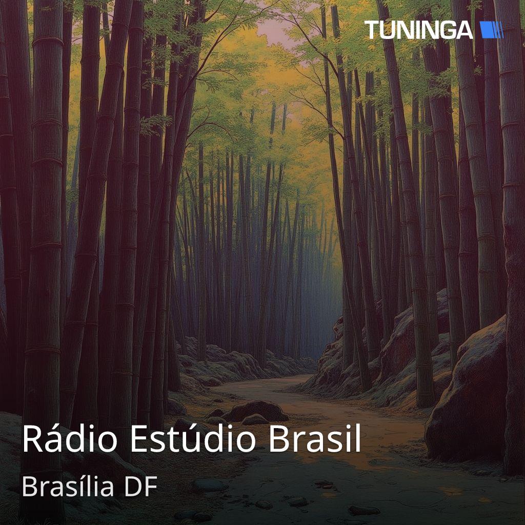 Rádio Estúdio Brasil