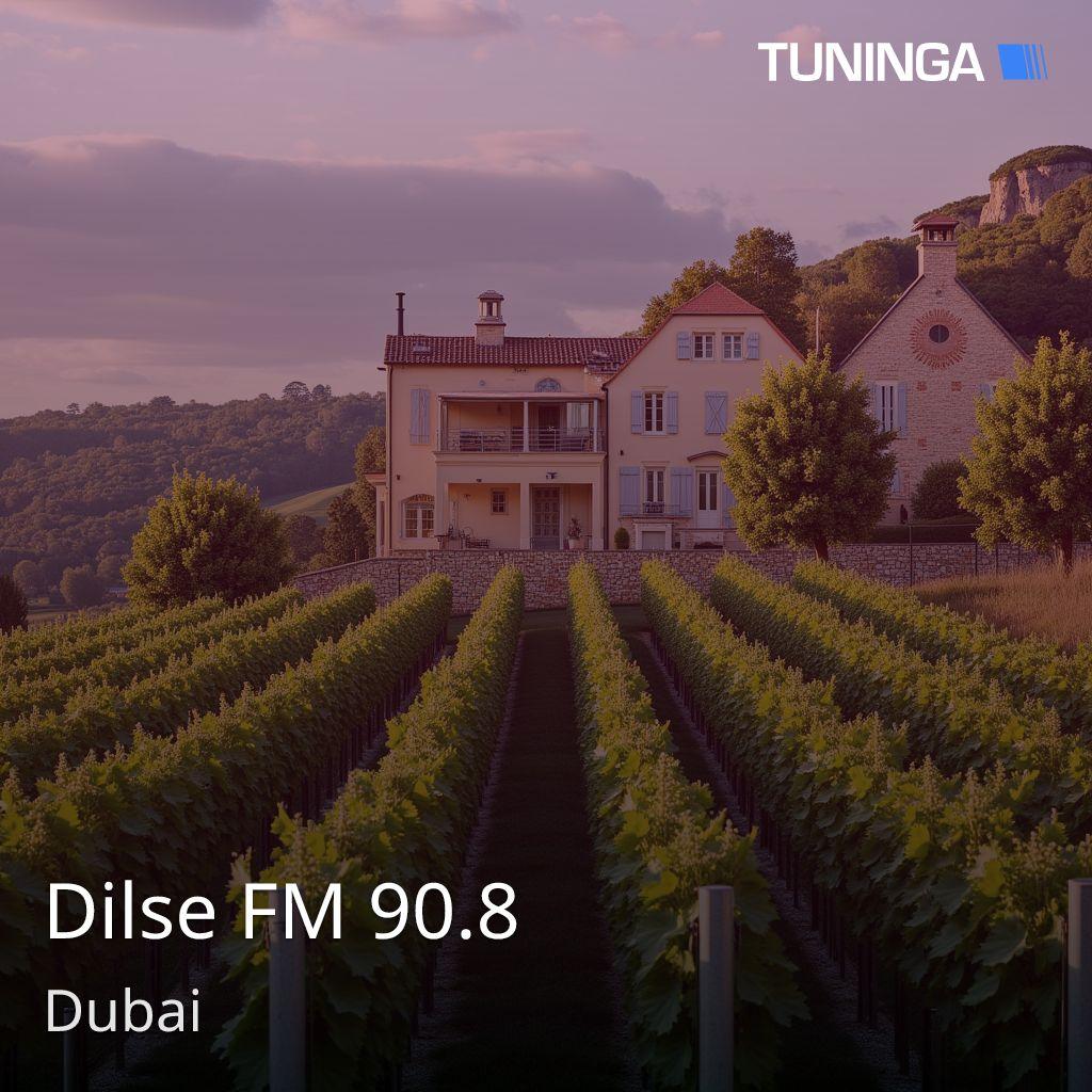 Dilse FM 90.8