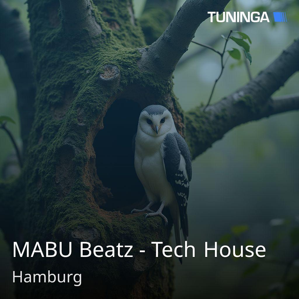 MABU Beatz - Tech House