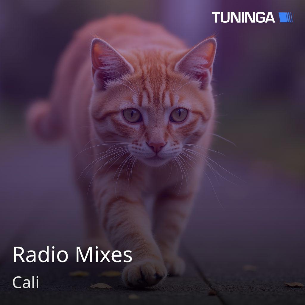 Radio Mixes
