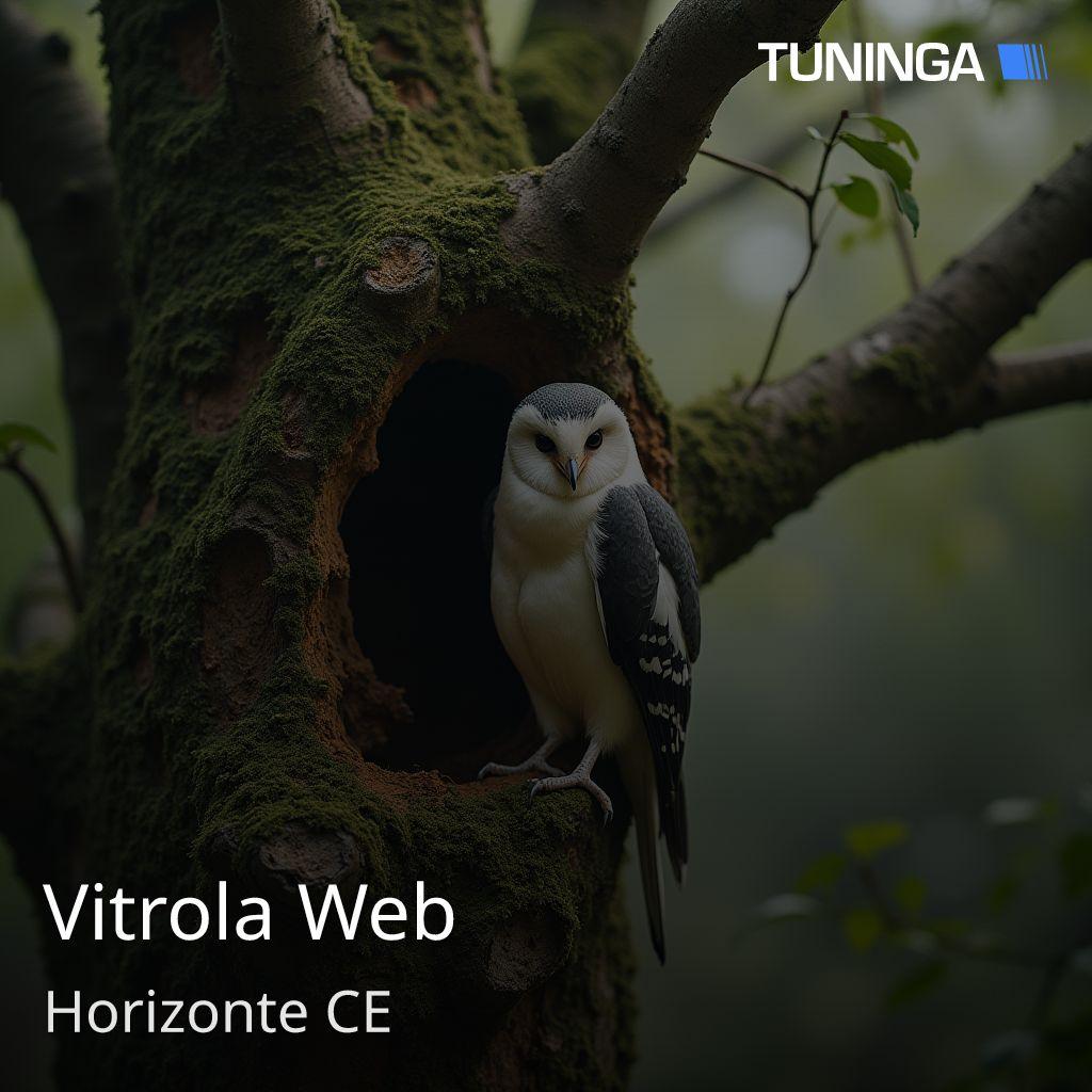 Vitrola Web