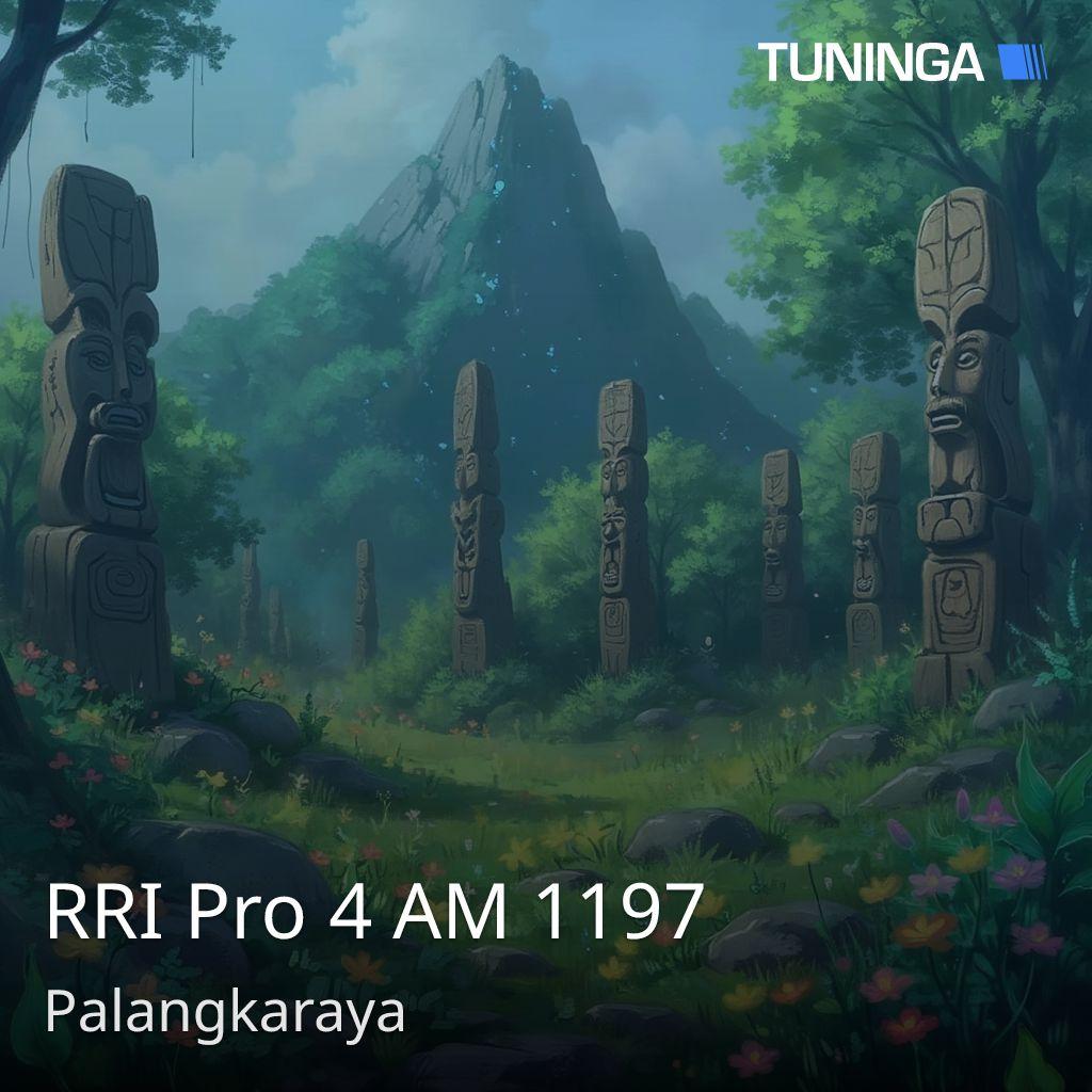 RRI Pro 4 AM 1197