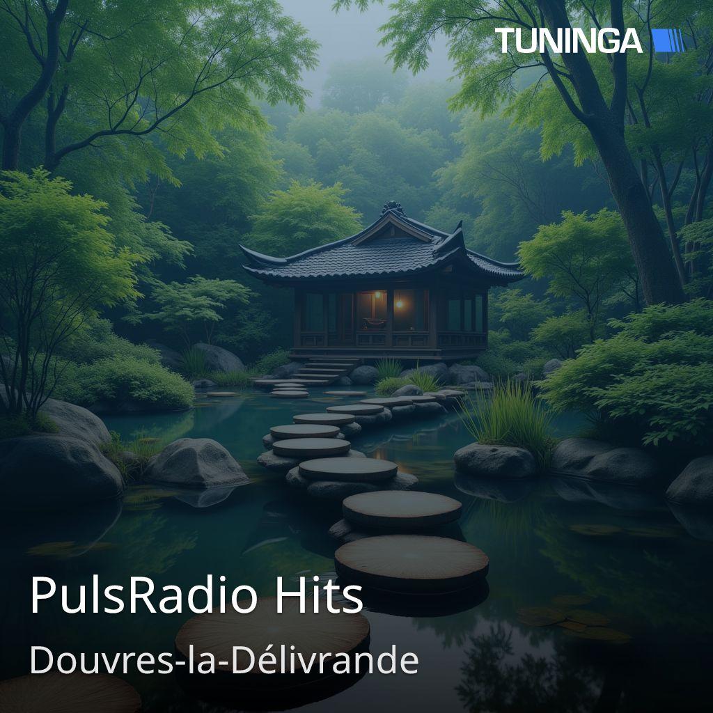 PulsRadio Hits