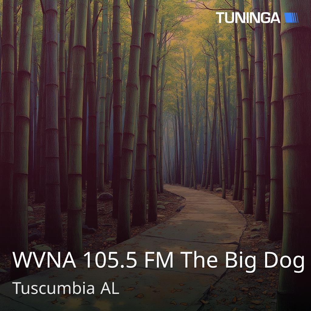 WVNA 105.5 FM The Big Dog