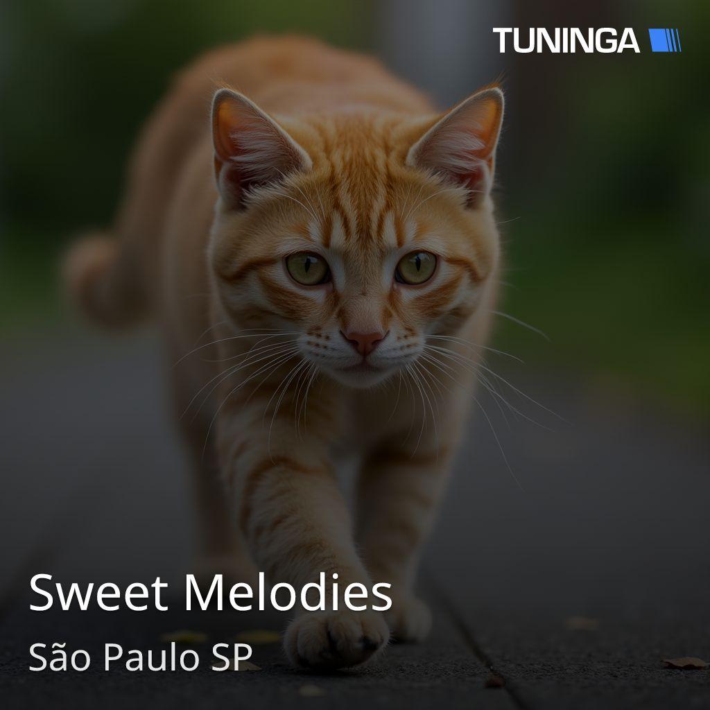 Sweet Melodies