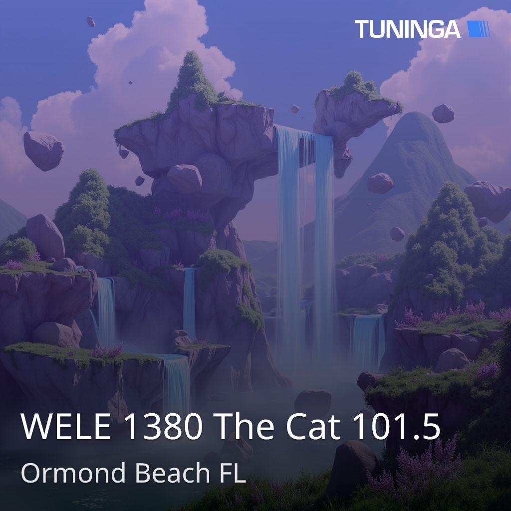WELE 1380 The Cat 101.5