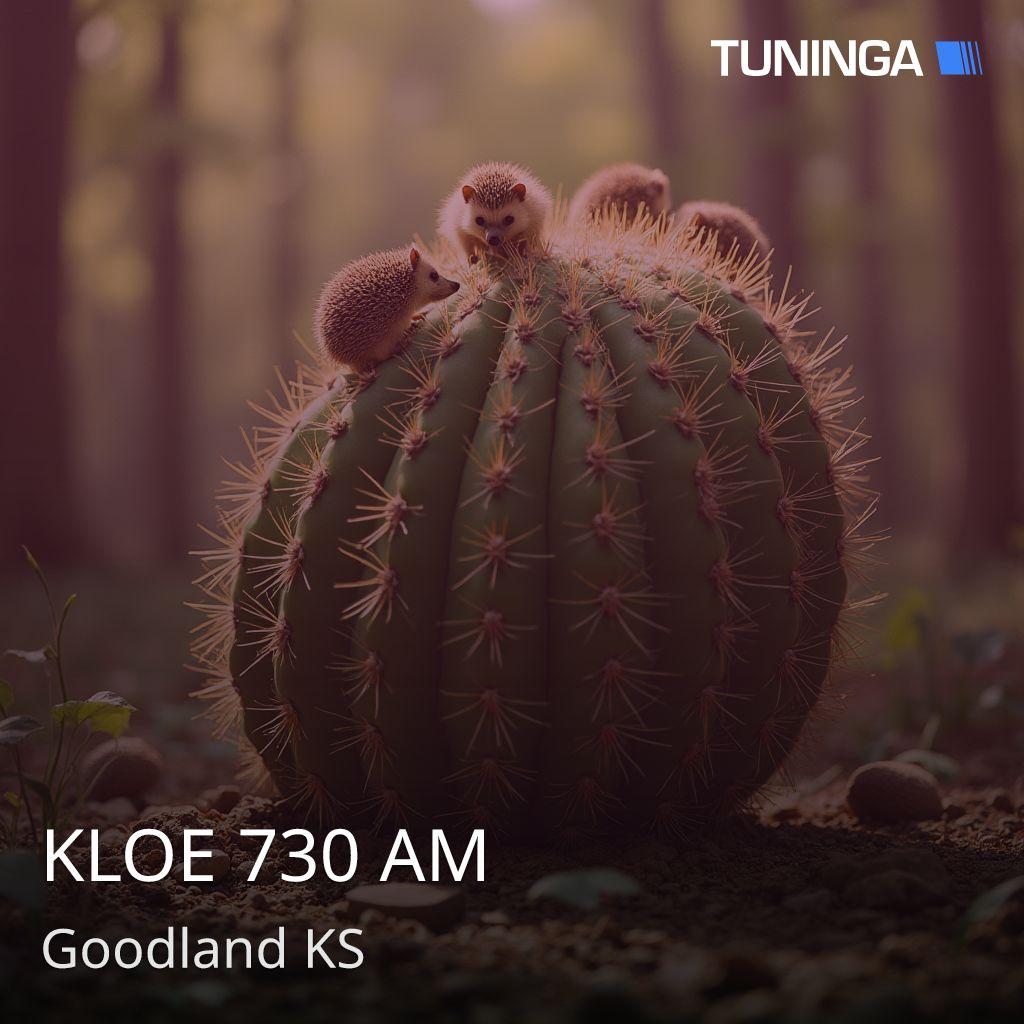 KLOE 730 AM