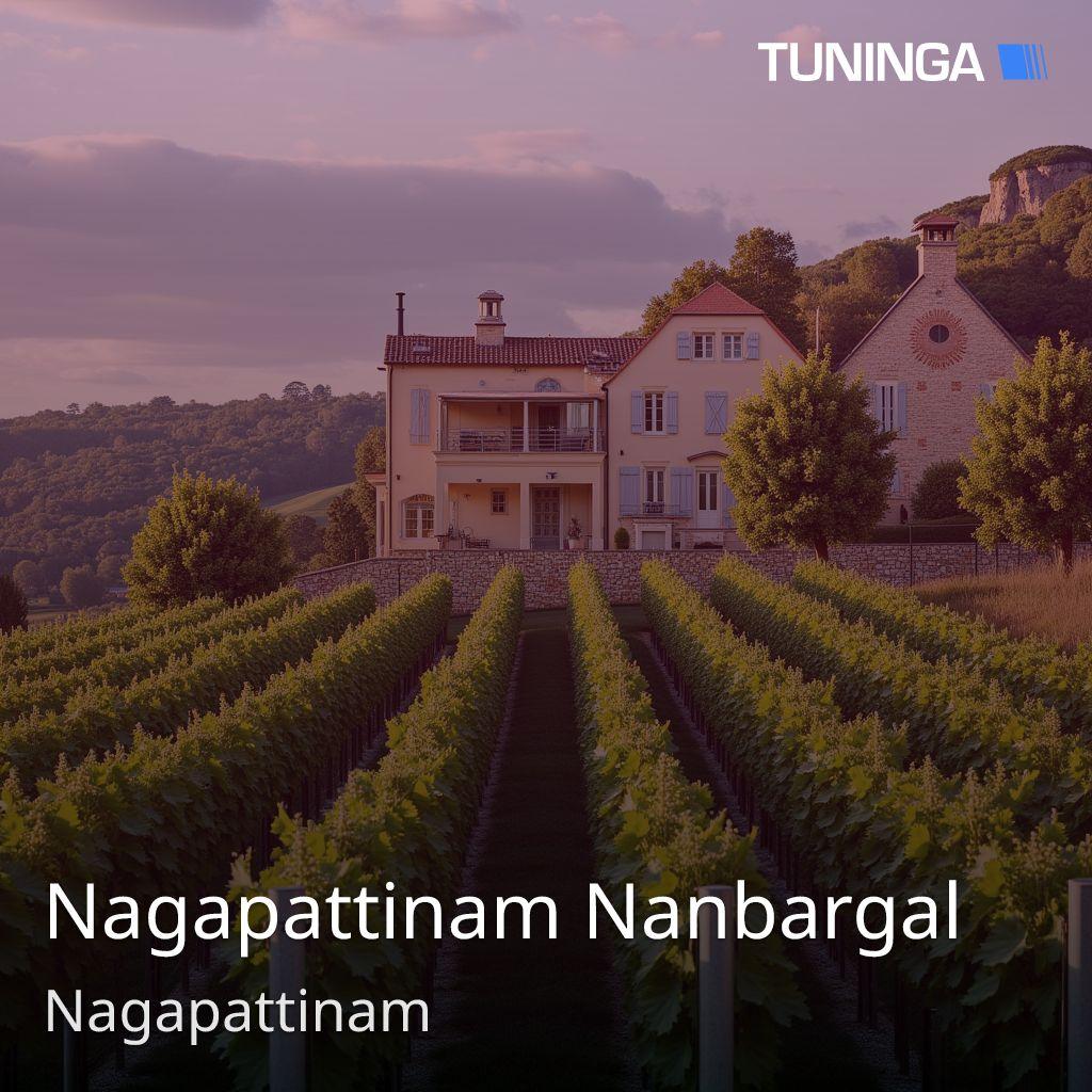 Nagapattinam Nanbargal