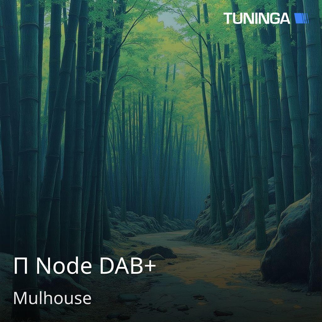 Π Node DAB+