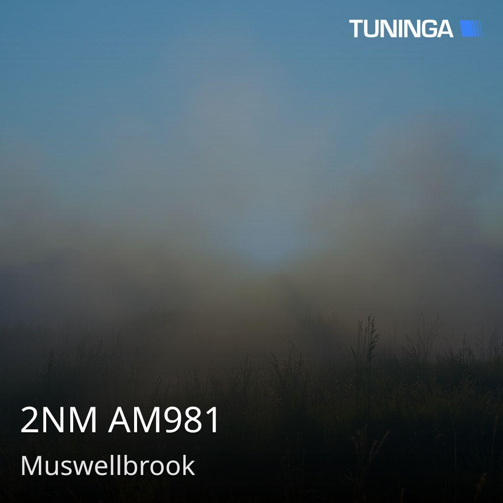 2NM AM981