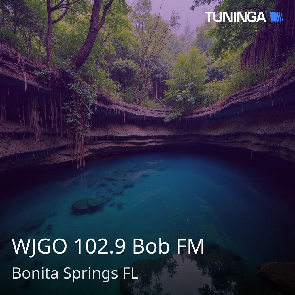 WJGO 102.9 Bob FM