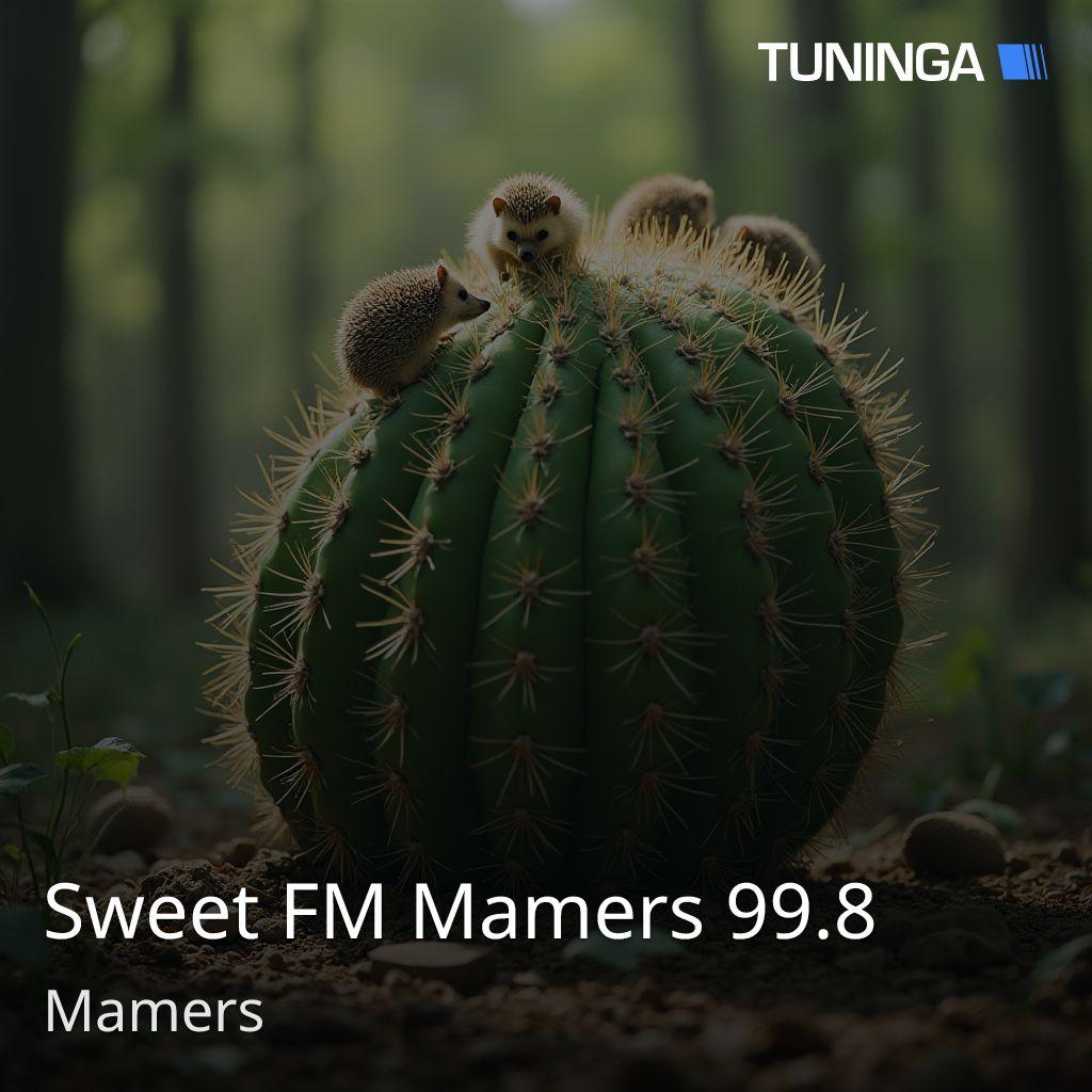 Sweet FM Mamers 99.8