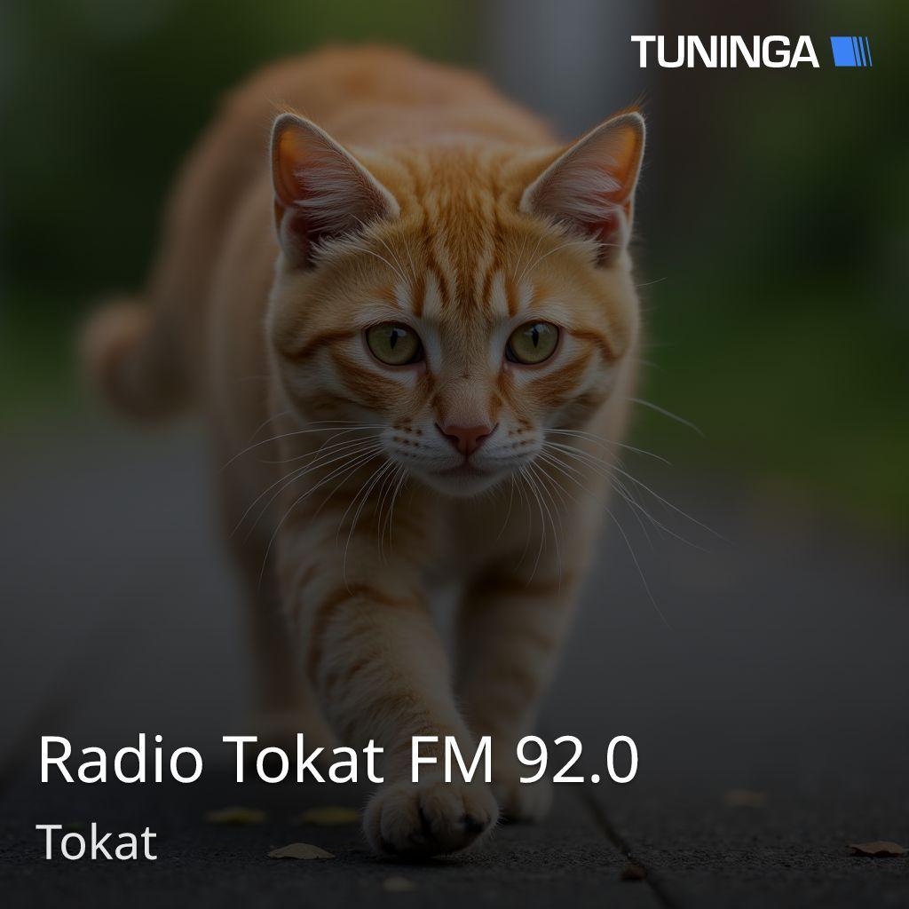 Radio Tokat FM 92.0
