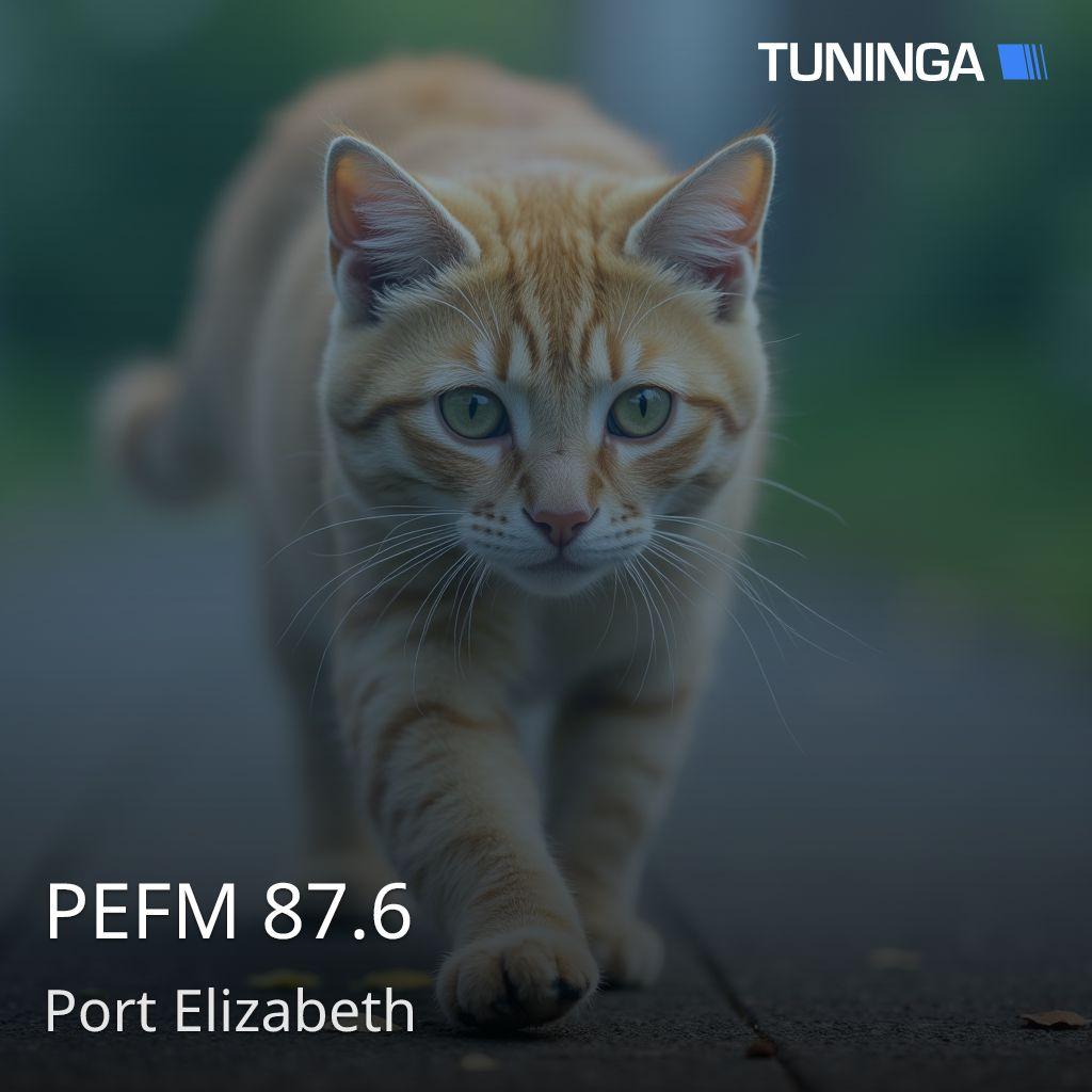 PEFM 87.6