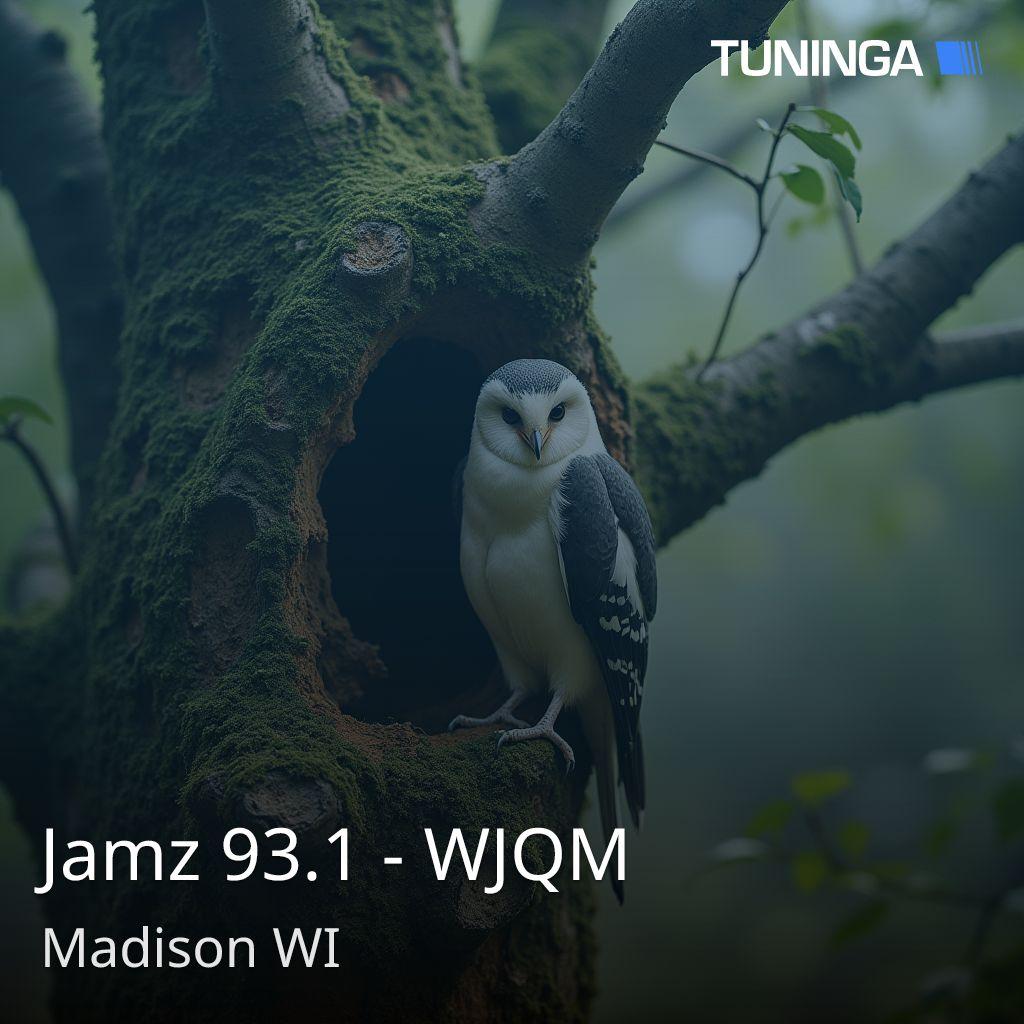 Jamz 93.1 - WJQM
