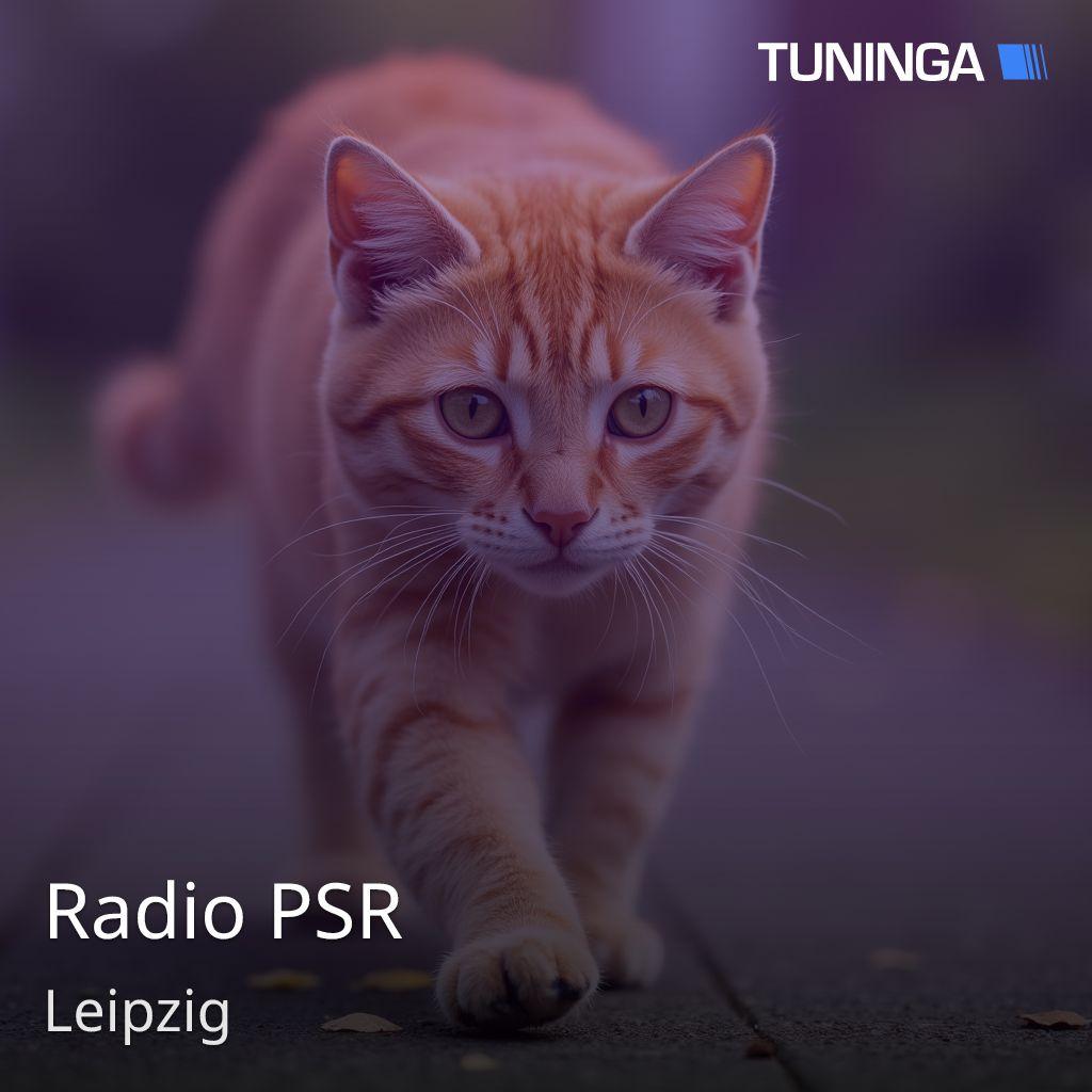 Radio PSR