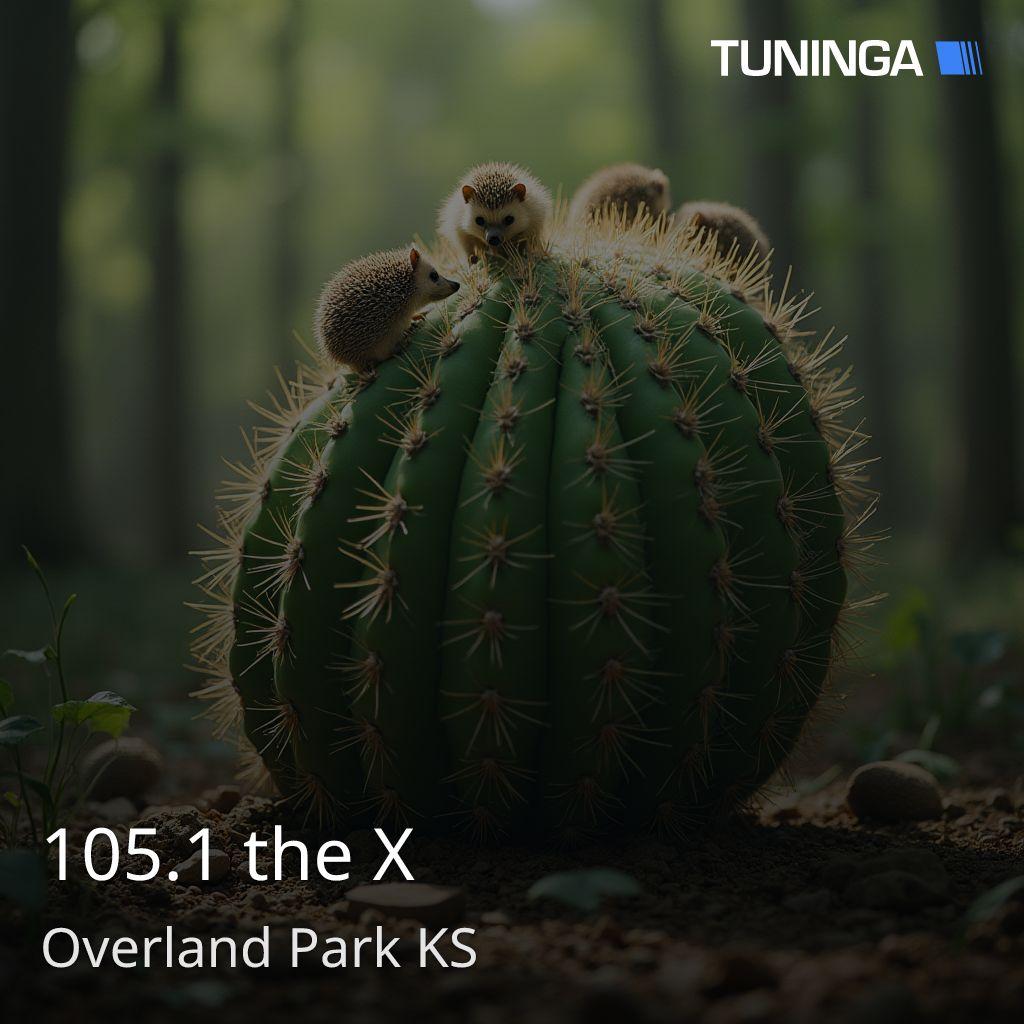 105.1 the X