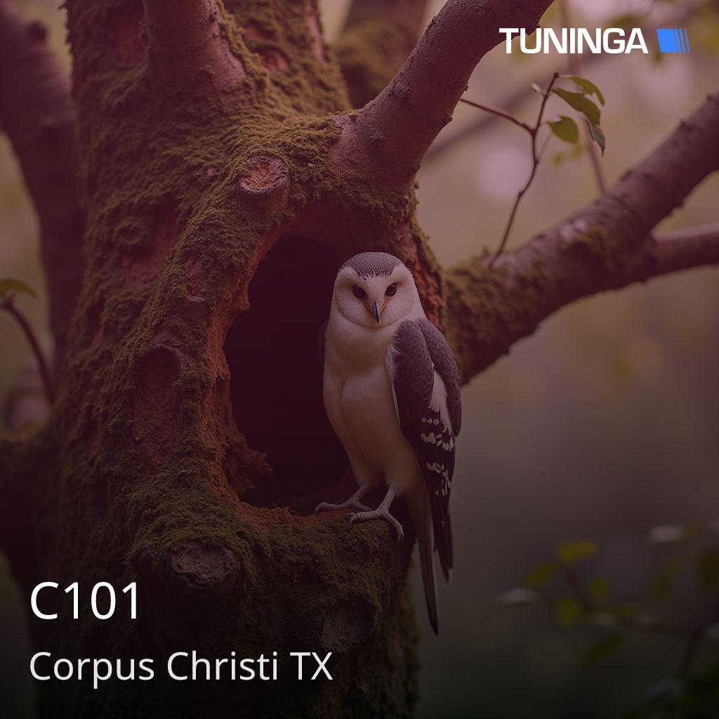 C101