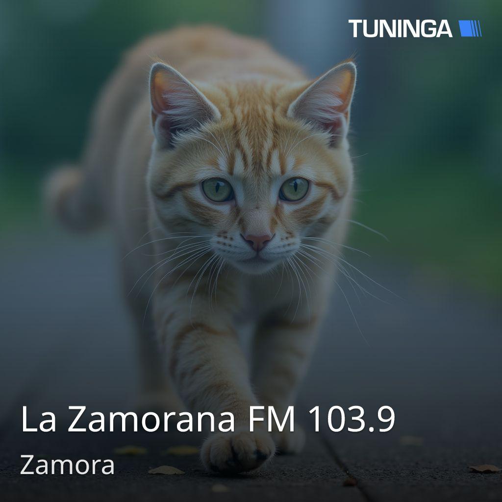 La Zamorana FM 103.9