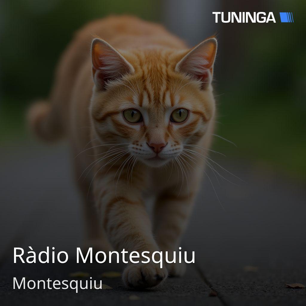 Ràdio Montesquiu