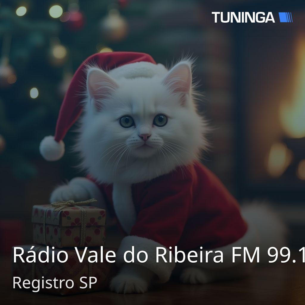 Rádio Vale do Ribeira FM 99.1
