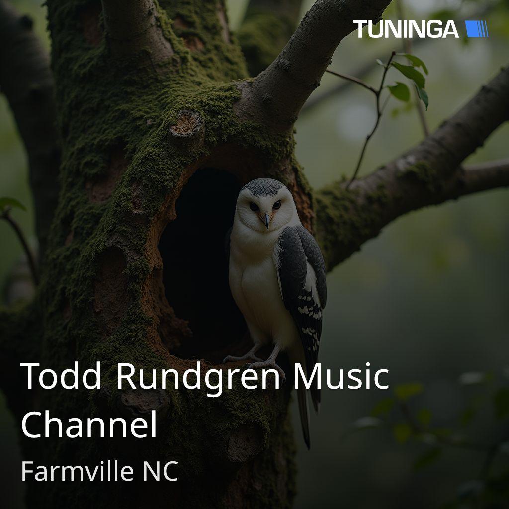 Todd Rundgren Music Channel