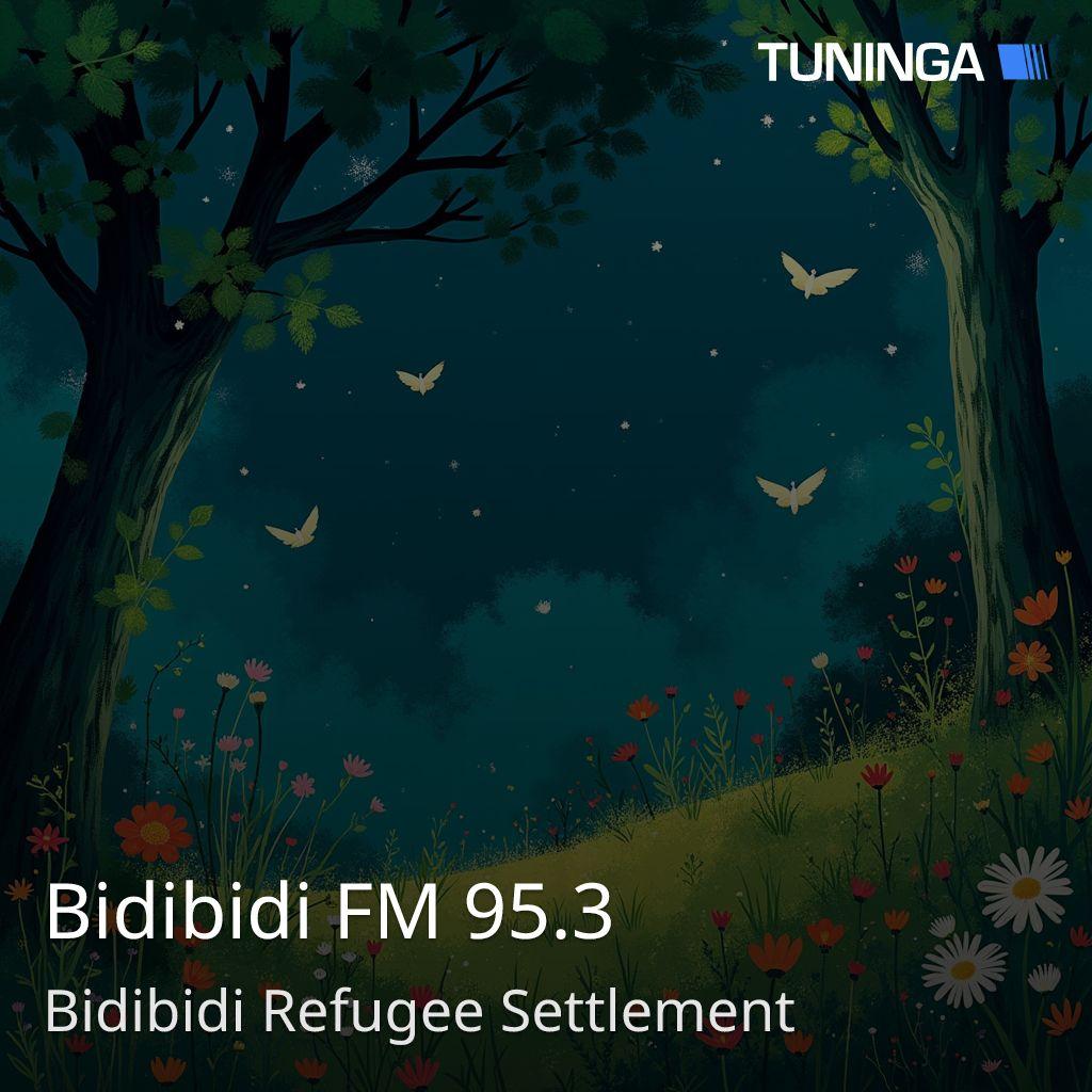 Bidibidi FM 95.3