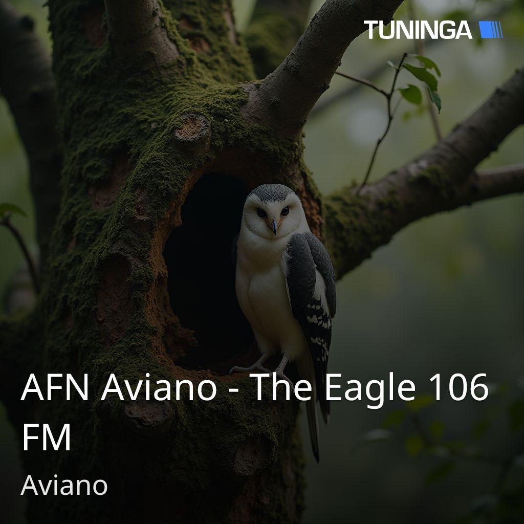 AFN Aviano - The Eagle 106 FM