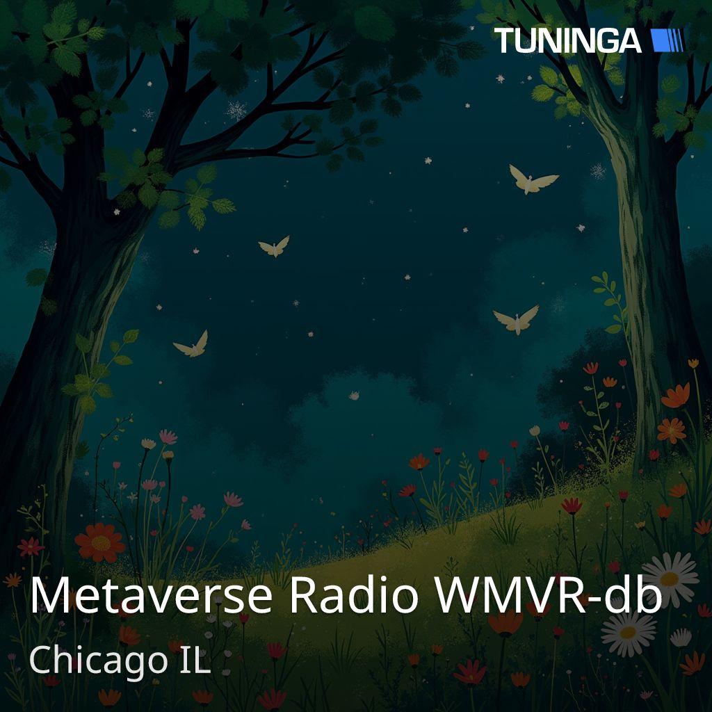 Metaverse Radio WMVR-db