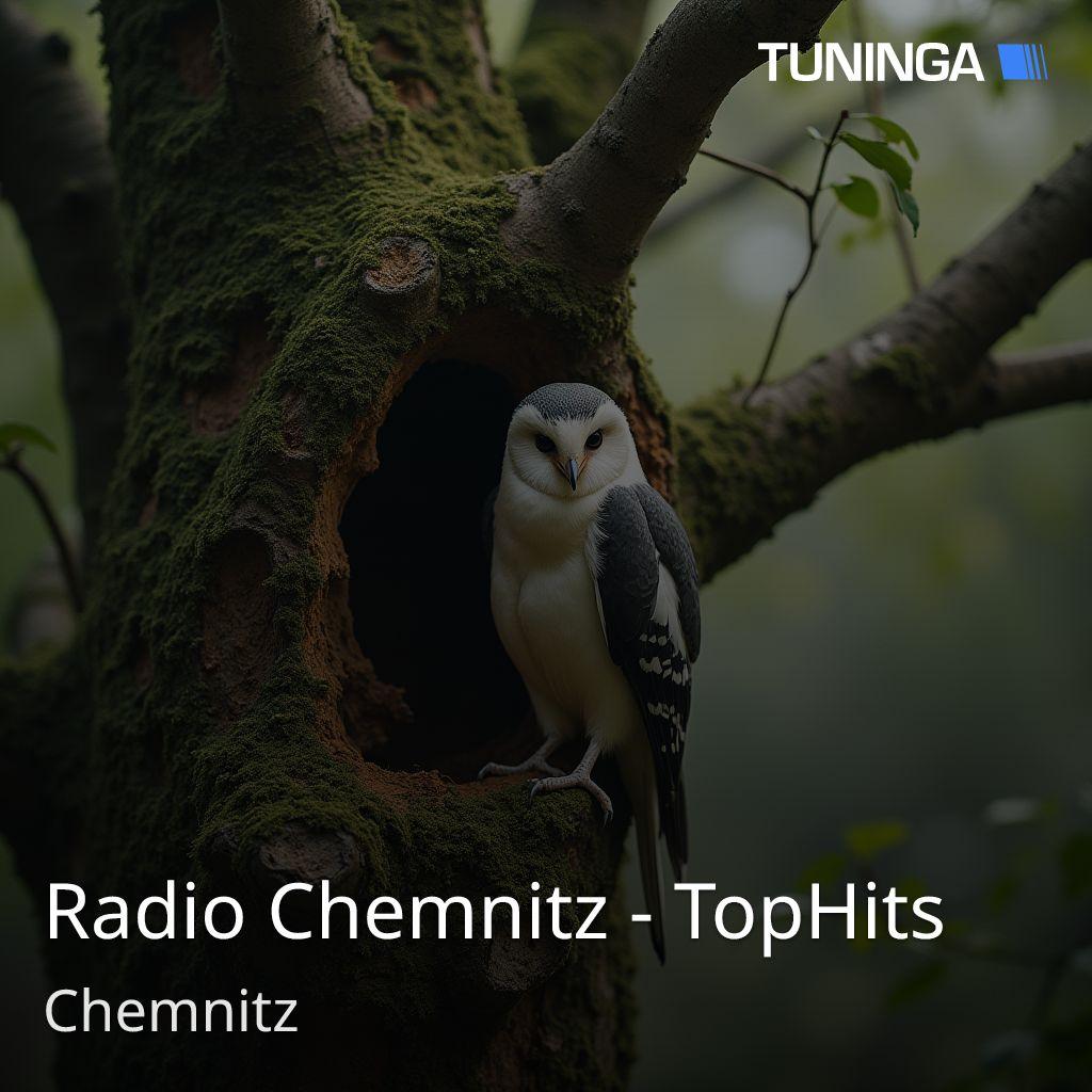 Radio Chemnitz - TopHits