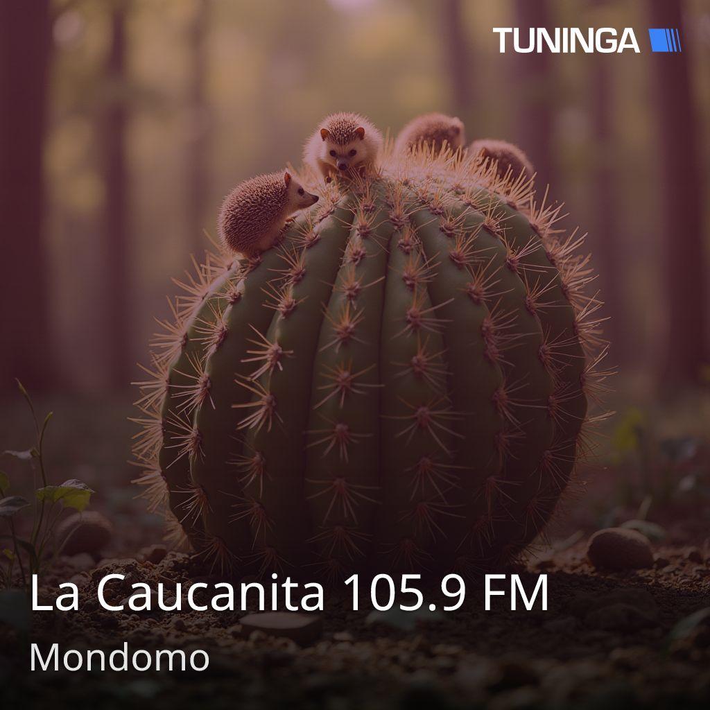 La Caucanita 105.9 FM