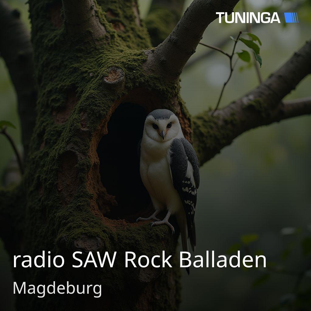 radio SAW Rock Balladen
