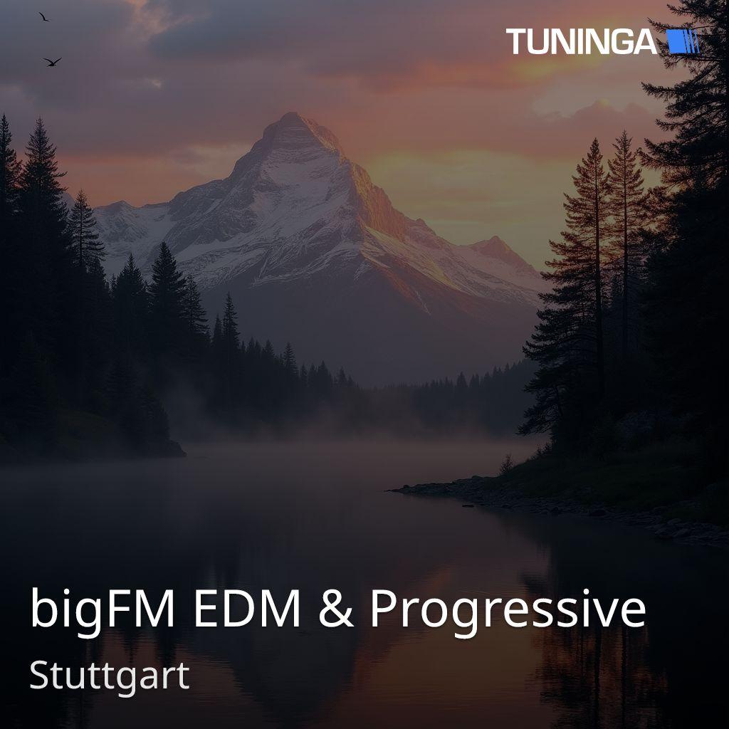 bigFM EDM & Progressive