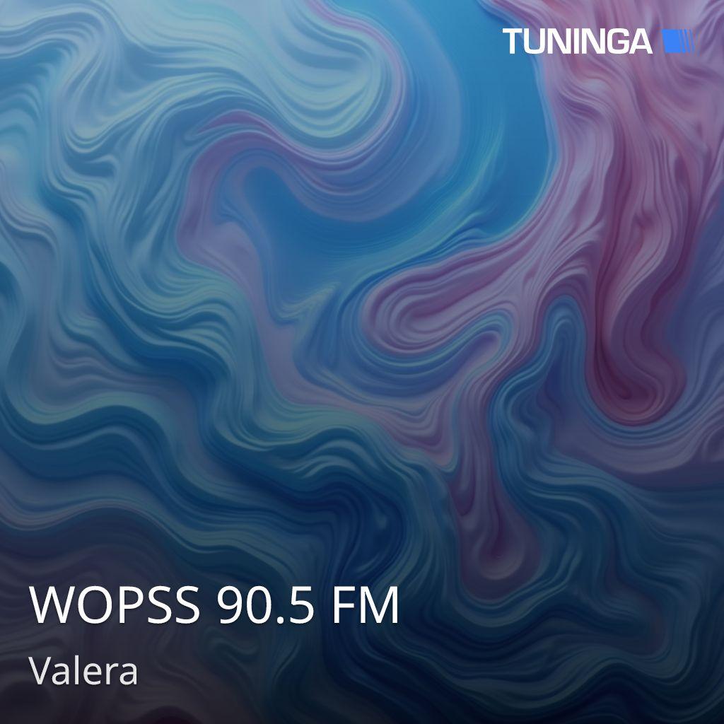 WOPSS 90.5 FM