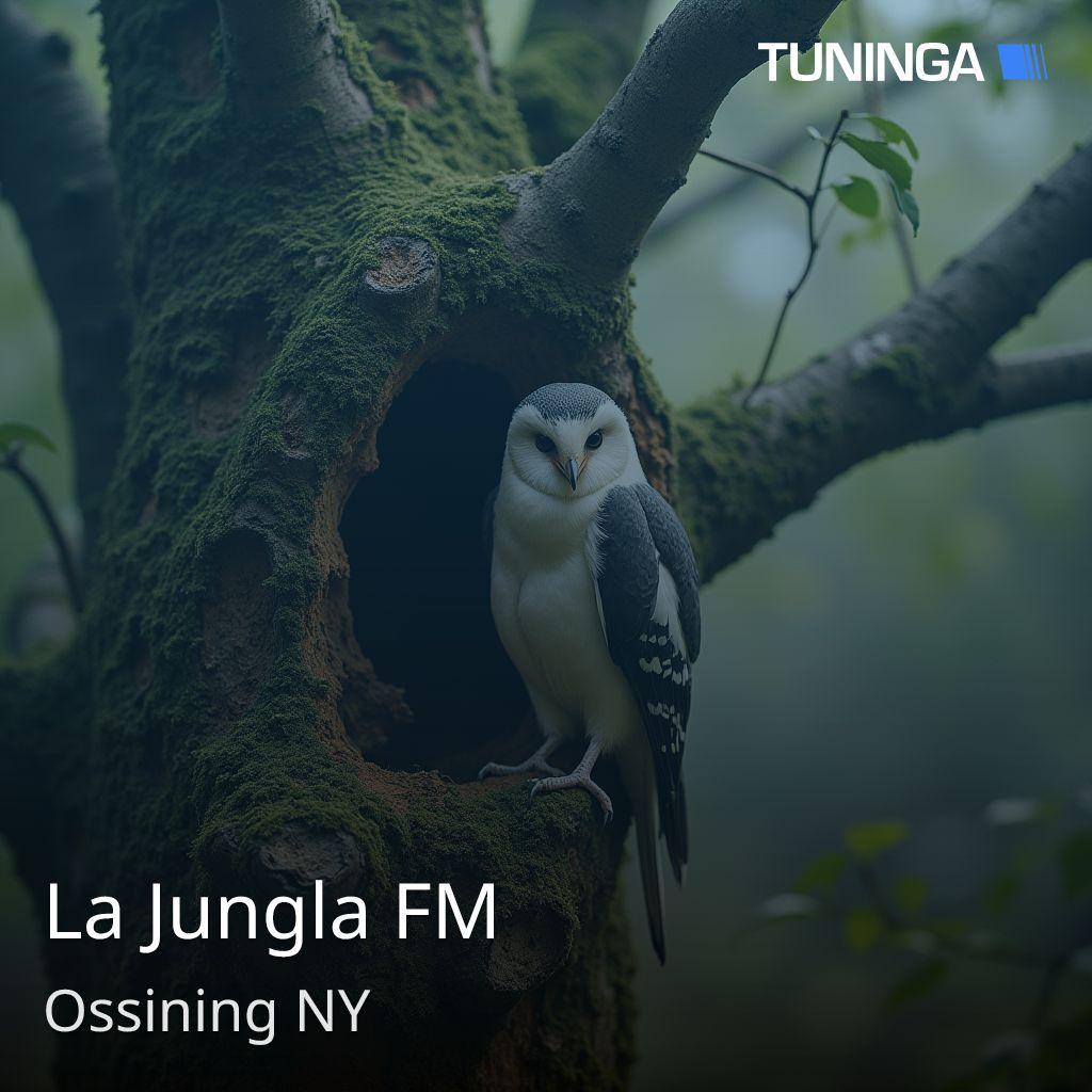 La Jungla FM