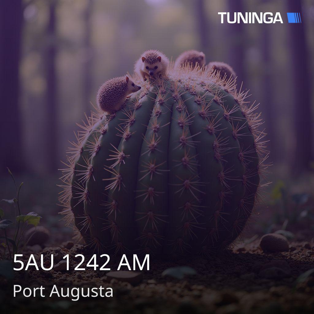 5AU 1242 AM