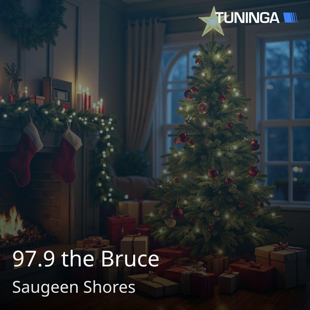 97.9 the Bruce